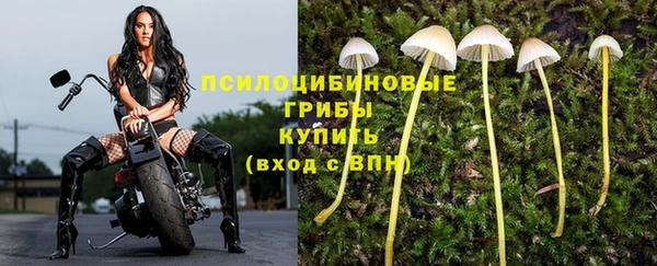 амф Балабаново